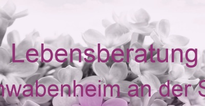 Lebensberatung Schwabenheim an der Selz | Top-Experten für Kartenlegen, Wahrsagen, Hellsehen, Zukunftsdeutung. Lebensberatung Schwabenheim an der Selz | Top-Experten für Kartenlegen, Wahrsagen, Hellsehen, Zukunftsdeutung.
